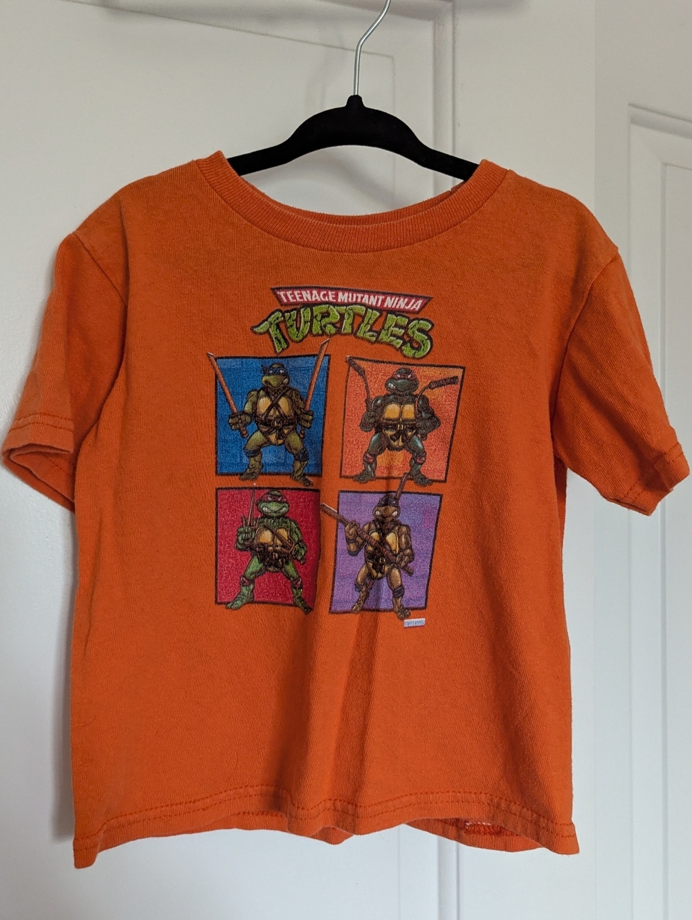 Teenage Mutant Ninja Turtles Graphic Tees